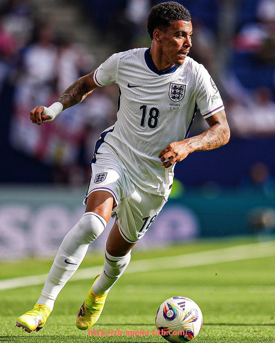 HTH华体会APP下载-德甲弗赖堡球队logo:了解弗赖堡队的队徽设计与象征意义