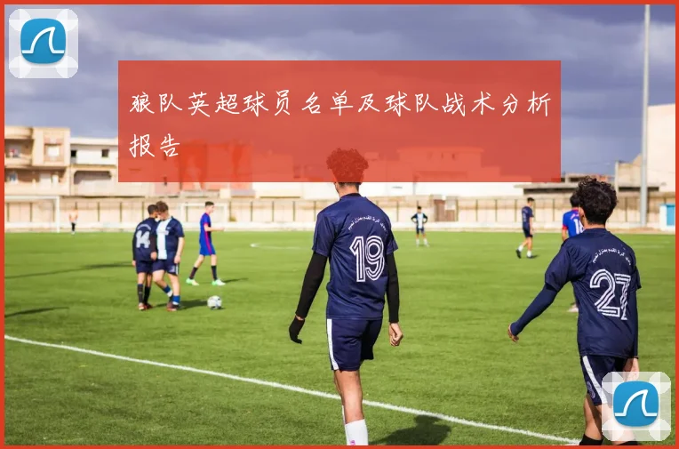 狼队英超球员名单及球队战术分析报告