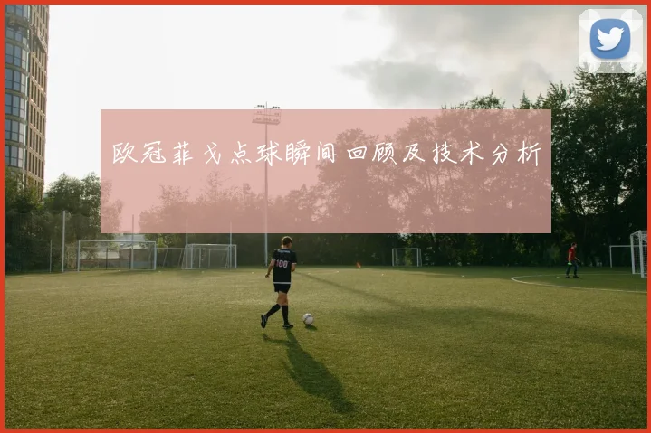 欧冠菲戈点球瞬间回顾及技术分析