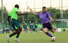 HTH华体会APP下载-英超直播西甲直播赛事对比：收视率与受欢迎程度的变化趋势