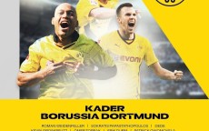 HTH华体会APP下载-曼联球衣上的英超标志及其设计变化